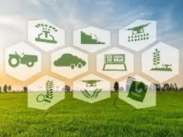 Cooperazione per azioni di supporto all’innovazione e servizi rivolti al settore agricolo, forestale e agroalimentare - SRG09 - CSR 2023-2027