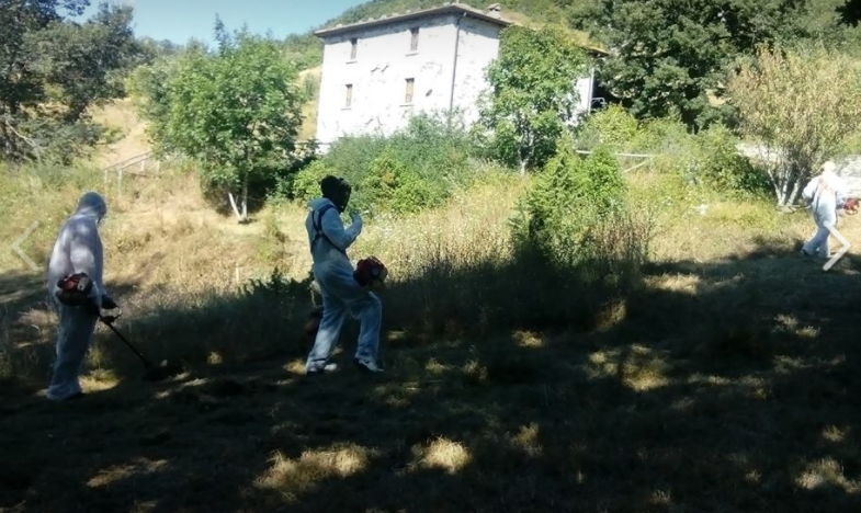 180474838 migranti3 1