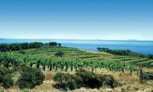 I prodotti dei territori toscani: Alta Val di Cecina e Costa degli Etruschi