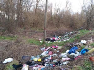 "Inasprire le sanzioni per reati ambientali e abbandono di rifiuti"