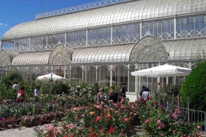 Alla Mostra dei fiori di Firenze via agli incontri sul "vivaio sostenibile"