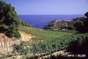 ValorizzArcipelago, il turismo passa anche dall'enogastronomia