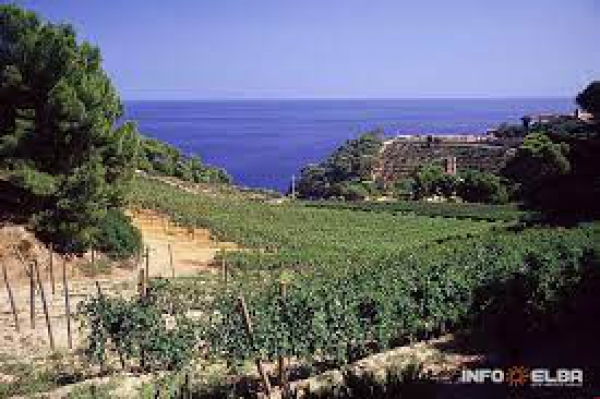 ValorizzArcipelago, il turismo passa anche dall'enogastronomia