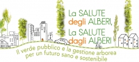 La salute degli alberi, la salute dagli alberi
