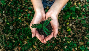 Progetto INTERCEPT, Anci Toscana finanzia tirocini green per i giovani