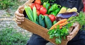 Contributi per trasformare e commercializzare prodotti agricoli - 4.2 PSR FEASR