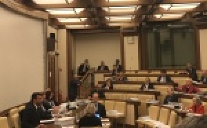 Anci al Parlamento: evitiamo la 'tempesta perfetta' sui Comuni