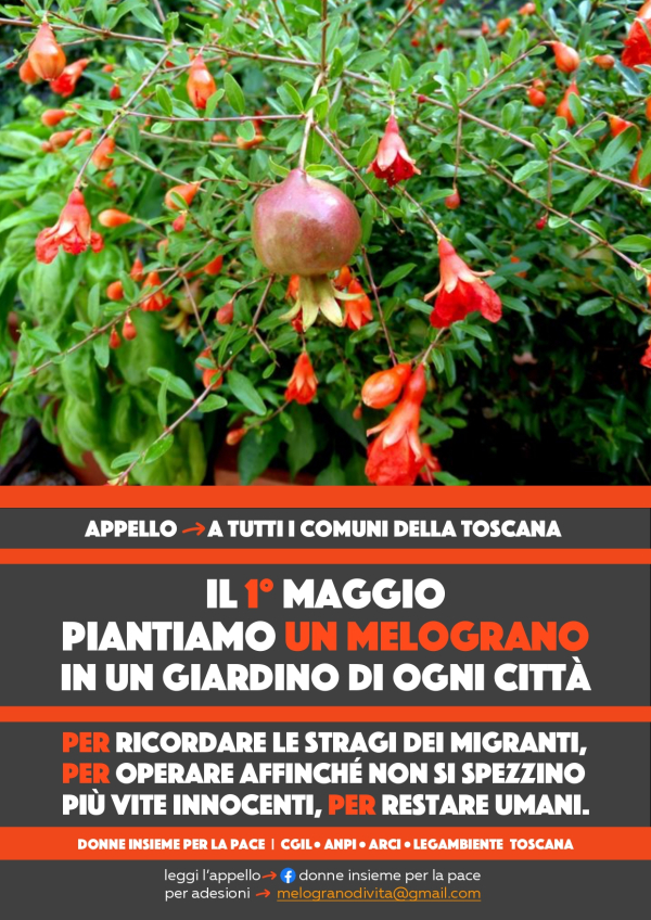 "Un melograno per la vita", gi&agrave; tanti i Comuni toscani che aderiscono