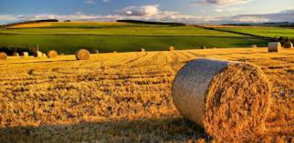 Zone rurali toscane, la Regione punta a destinare nuovi fondi ai Gal