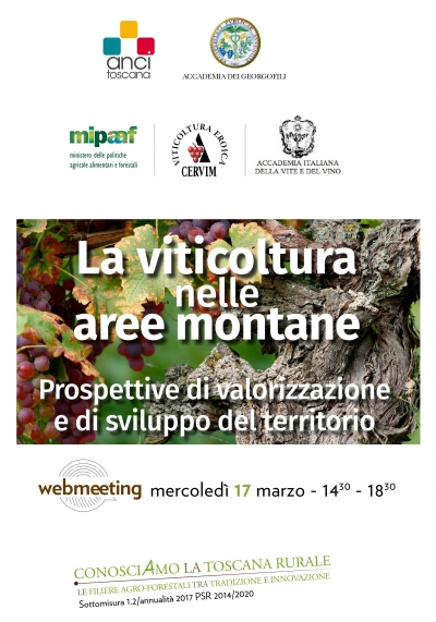 La viticoltura nelle aree montane - Prospettive di valorizzazione e sviluppo del territorio