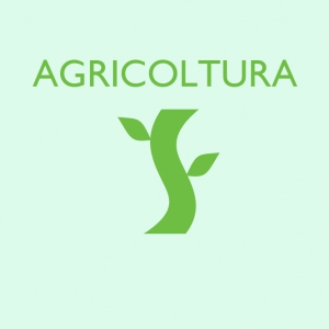 Agricoltura