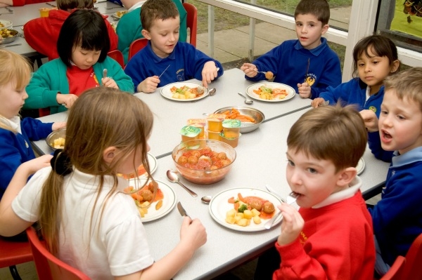 Mense scolastiche biologiche, ecco i requisiti per il servizio