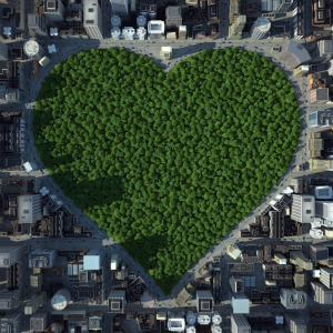 Biodiversit&agrave; e verde urbano, una sfida da vincere per i Comuni