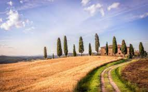Anci Toscana su Pnrr, legge urbanistica e dissesto idrogeologico