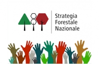 Strategia Nazionale Forestale: pubblicato il documento derivante dalla consultazione pubblica