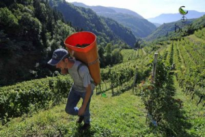 Il futuro della montagna? E' nelle scelte delle giovani generazioni