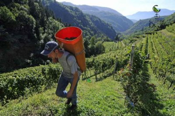 Il futuro della montagna? E' nelle scelte delle giovani generazioni