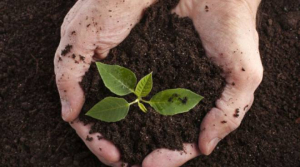 Con il progetto europeo HuMus AnciToscana a difesa del suolo
