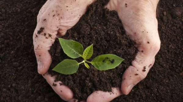 Con il progetto europeo HuMus AnciToscana a difesa del suolo