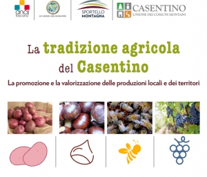 Prodotti ed eccellenze del Casentino: focus l'11 novembre