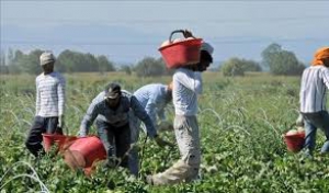 Coronavirus, Anci Toscana: "La misura sugli immigrati &egrave; contro il lavoro nero"