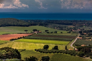 Biffoni riprende il tour nei territori toscani: luned&igrave; in Val di Cornia