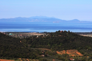 Promuovere e tutelare i prodotti toscani: verso la Maremma