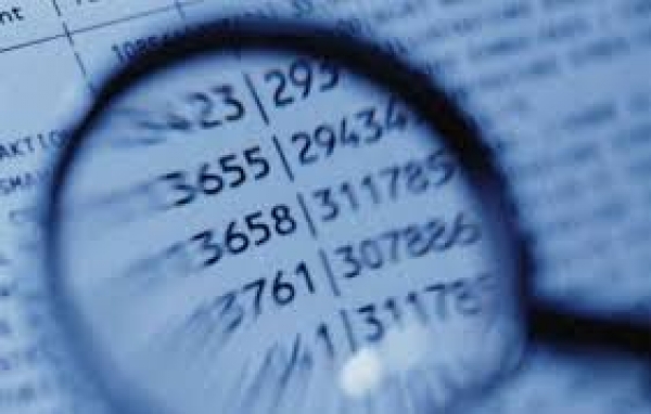 Domande su bilanci ed entrate, un webinar per dare le risposte