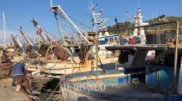 Acceleratori d'impresa per la piccola pesca artigianale