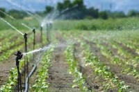 Gestione della risorsa idrica per scopi irrigui da parte delle aziende agricole - 4.1.4 PSR FEASR