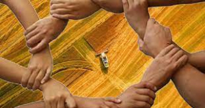 Cooperazione agricola e consorzi forestali