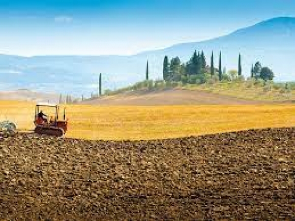 V bando contratti di filiera