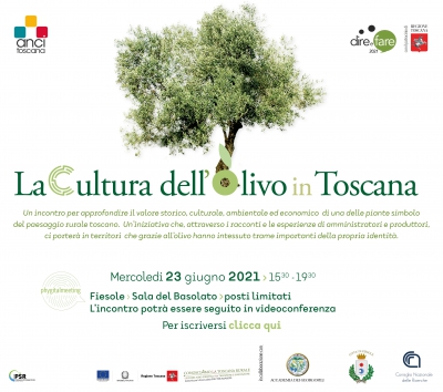 La Cultura dell'Olivo in Toscana