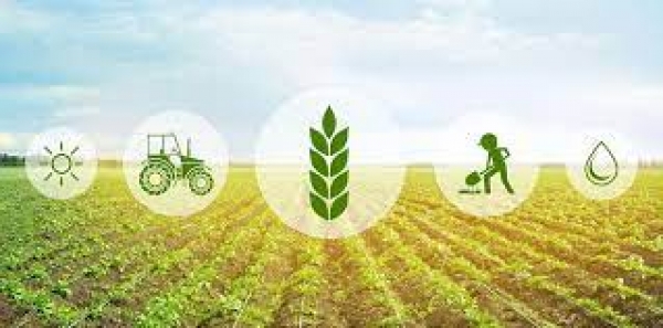 Sostegno a progetti pilota e di cooperazione - 16.2 PSR FEASR