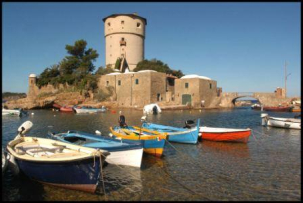 Focus sulle isole toscane: due giorni di confronto a Giglio e Giannutri