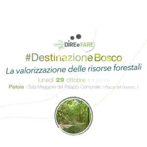 #Destinazione Bosco