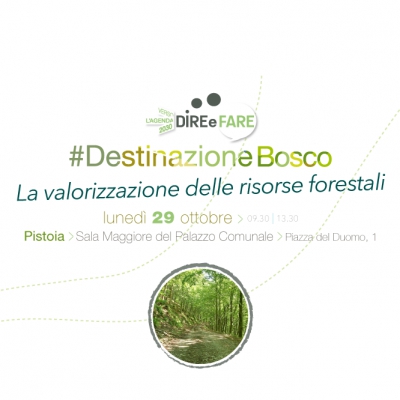 #Destinazione Bosco