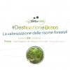 #Destinazione Bosco