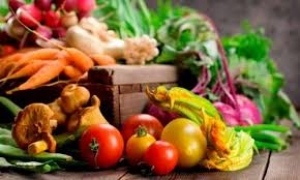 A FirenzeBio uno stand dedicato per Anci Toscana