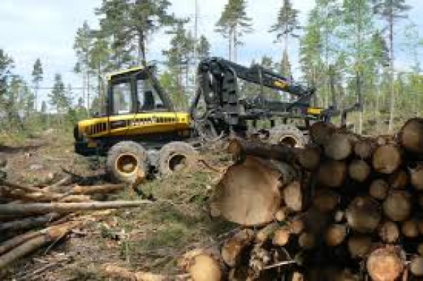 Risparmio energetico da biomasse, bando per le aree rurali