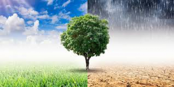 Dl clima, ecco la nota di lettura di Anci Toscana per i Comuni