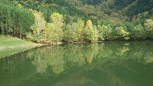 Aree interne: ricompensare i territori che offrono servizi essenziali