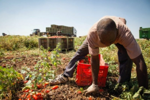 Migranti e lavoro, evento finale per il progetto Commit