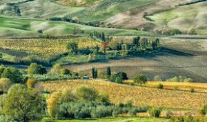 La Valdichiana Senese vince il titolo di 'Paradiso del benessere'