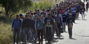 Migranti, Biffoni alla Camera: "Strutturare norme e risorse"