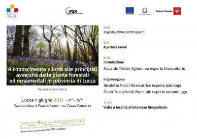 Incontro tematico "Riconoscimento e lotta alle principali avversit&agrave; delle piante forestali ed ornamentali in provincia di Lucca"