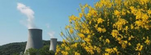 Sono 4 i Comuni toscani rinnovabili al 100%: tutti geotermici
