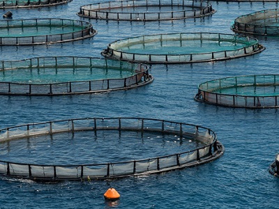 Bandi aperti dei FLAG - Gruppi di Azione Locale per la Pesca