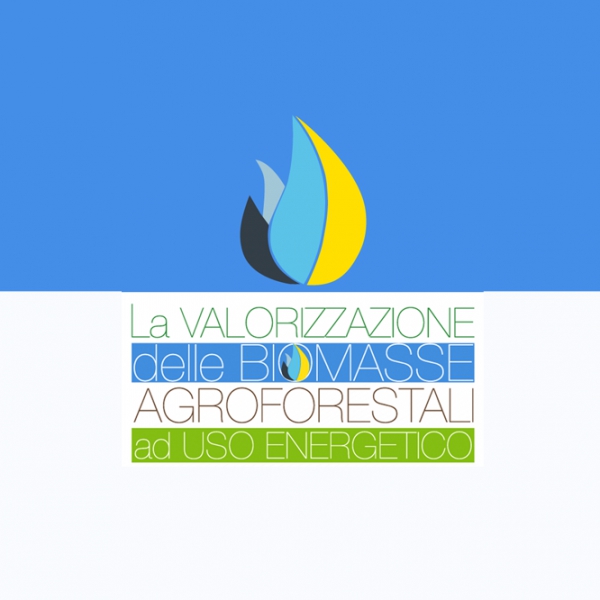 La Valorizzazione delle Biomasse