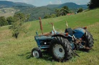 In arrivo nuovi bandi per il sostegno delle aziende agricole